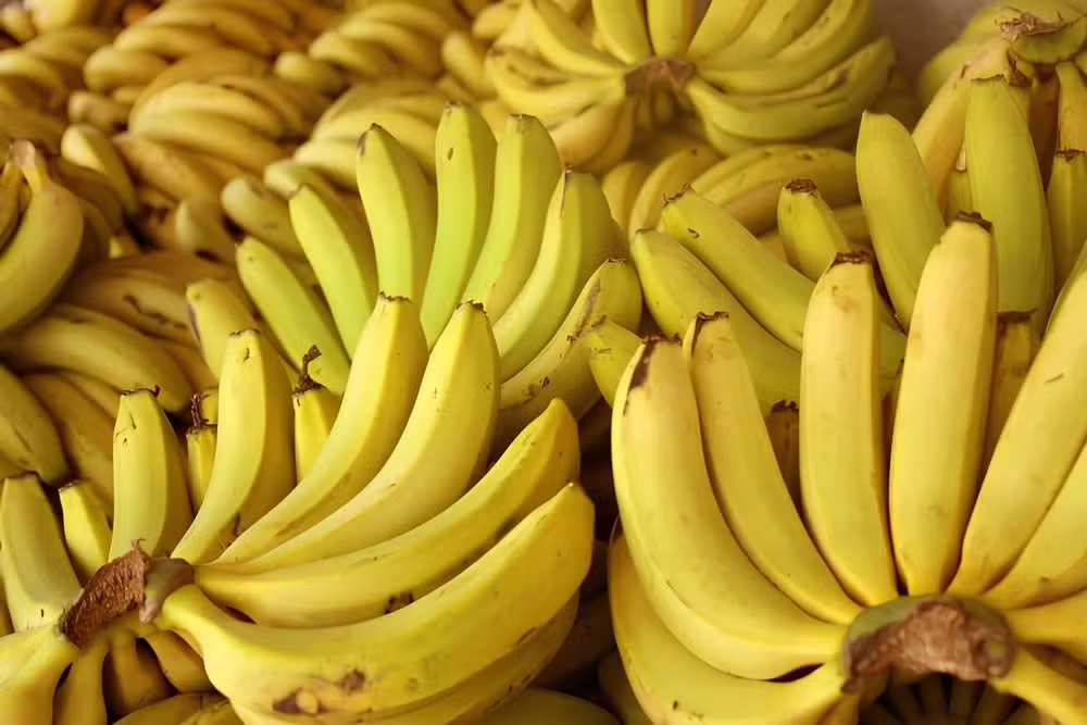 Nanica Banana (Cavendish)