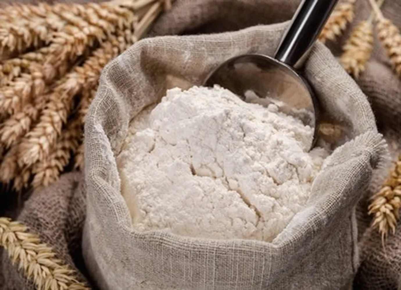 Brazil Wheat Flour Price – Monthly average prices for October of 2024