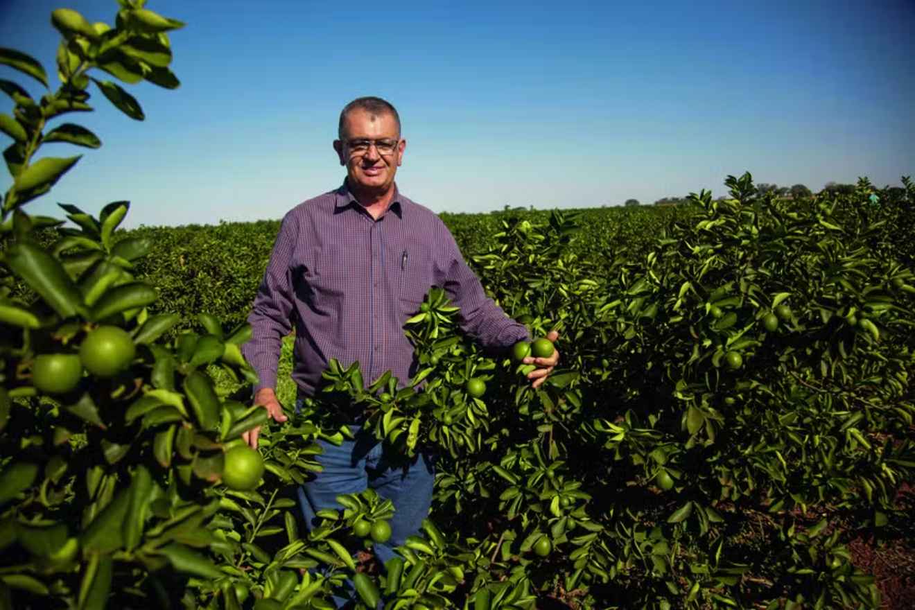 Family That Produces the Most Lemons in Brazil Doesn’t Export the Fruit