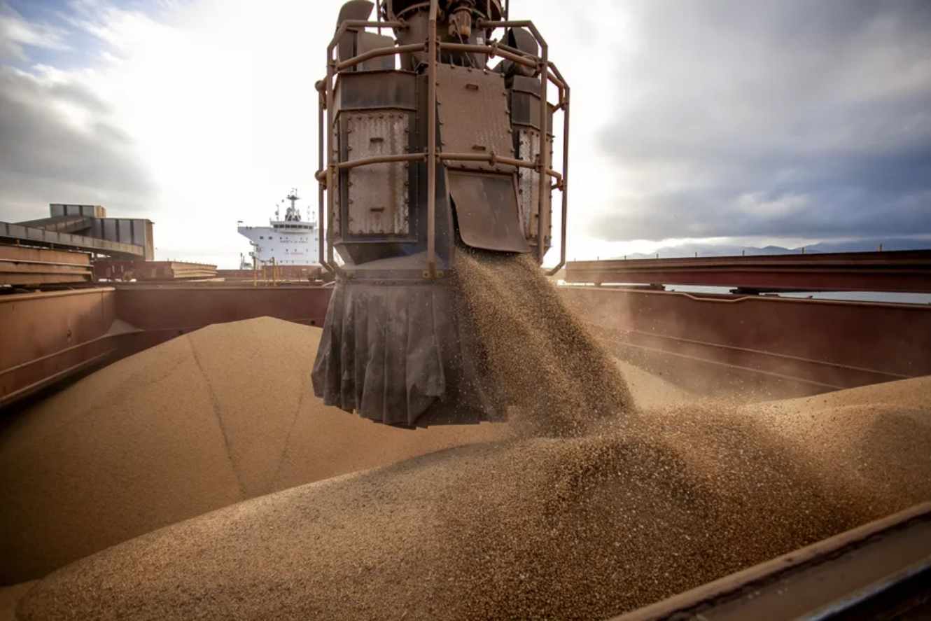 Mercosur to Account for 67% of Global Soybean Exports in 2024/25