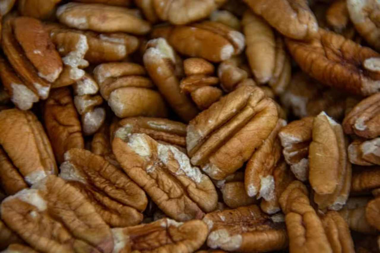 Brazil Nears Approval to Export Pecan Nuts to China