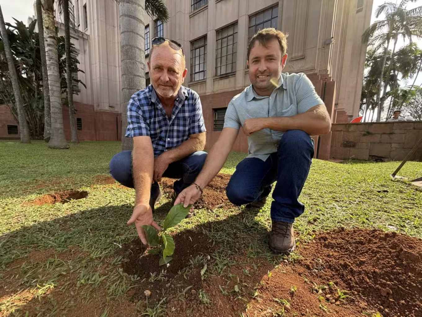 Revival of Coffee Cultivation in São Paulo’s West Region