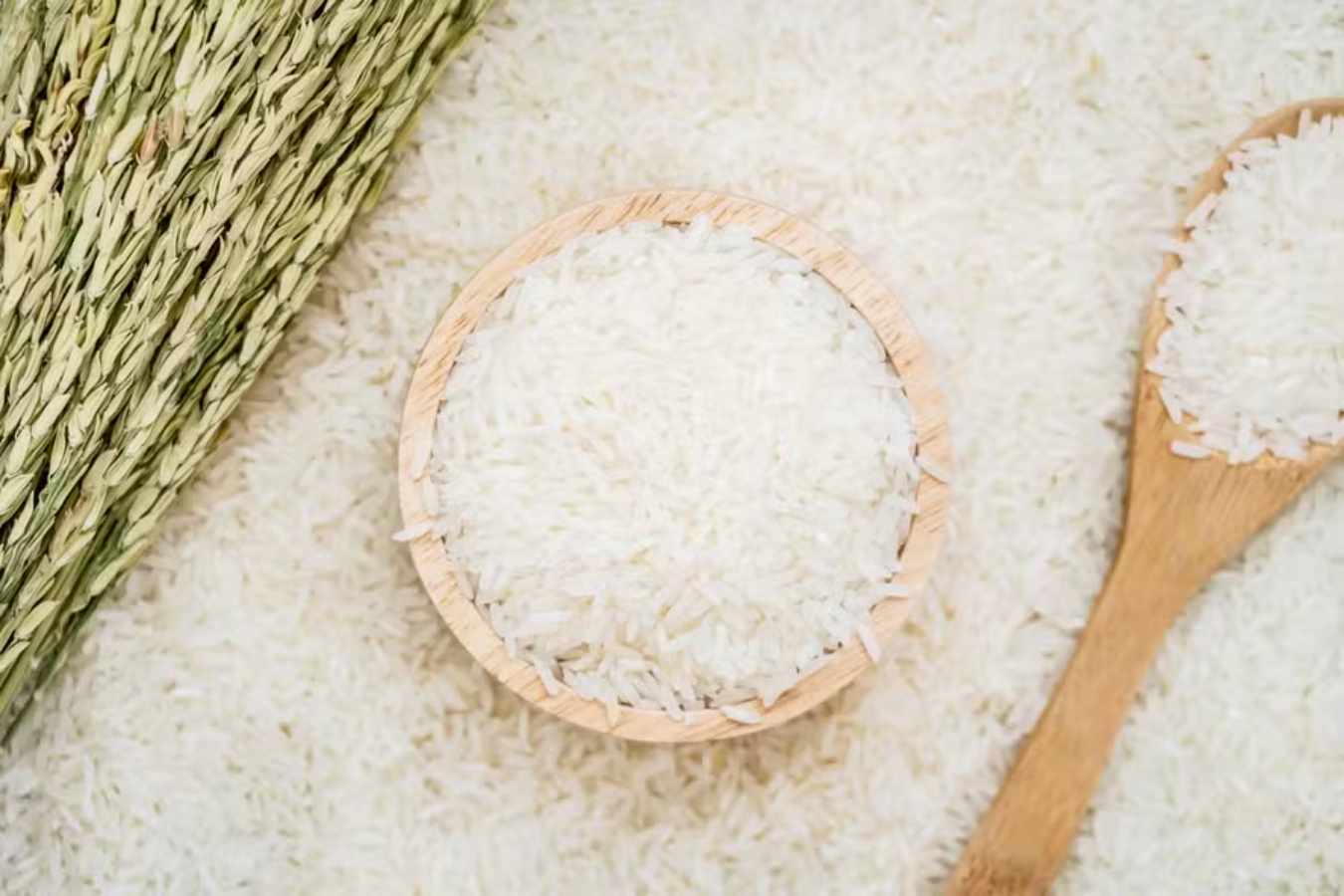 What is the Healthiest Type of Rice? Fun Facts About the Grain