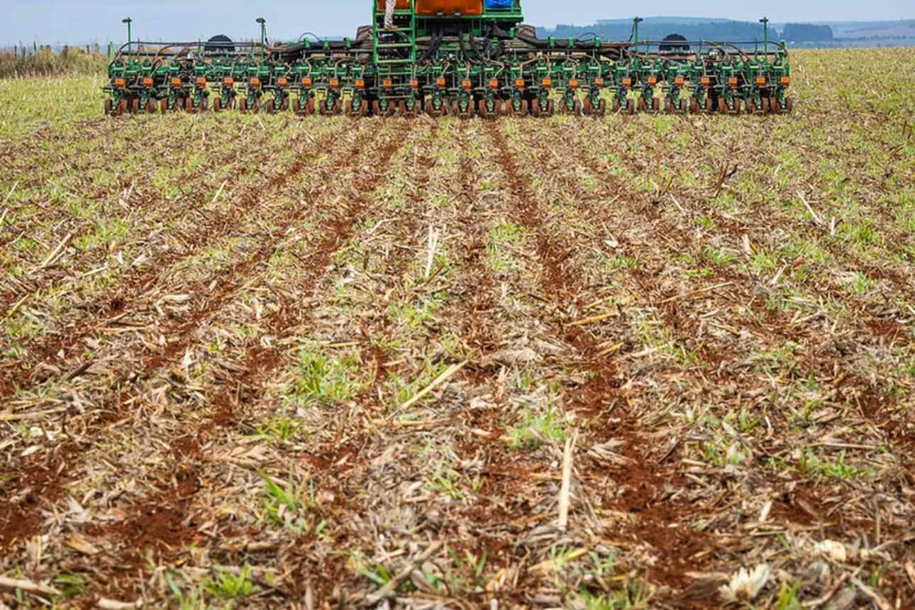 Cotton Farmers in Western Bahia Begin Planting the 2024/25 Harvest