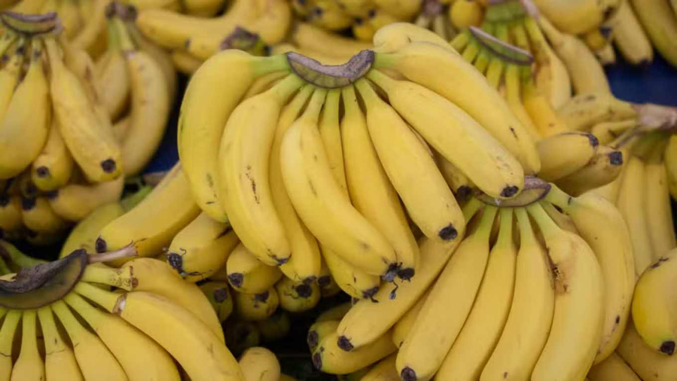 Types of Bananas: Discover the Most Consumed Varieties in Brazil