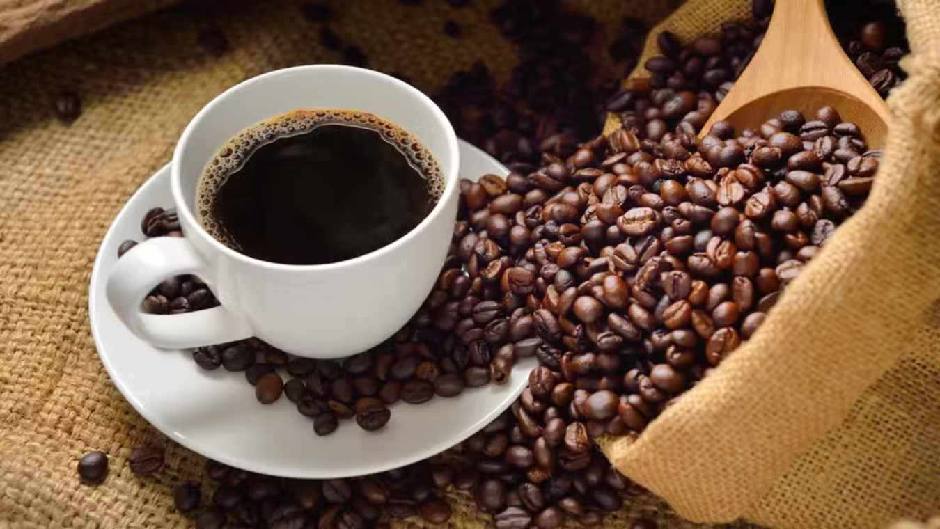 The Best Coffees in Brazil