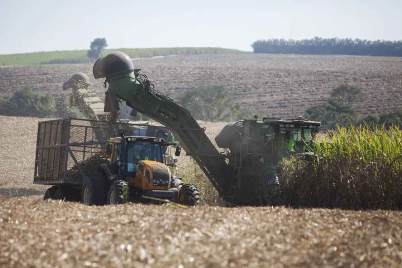 Focus on Brazil’s Harvest Causes Sugar Prices to Fall by 2% in New York