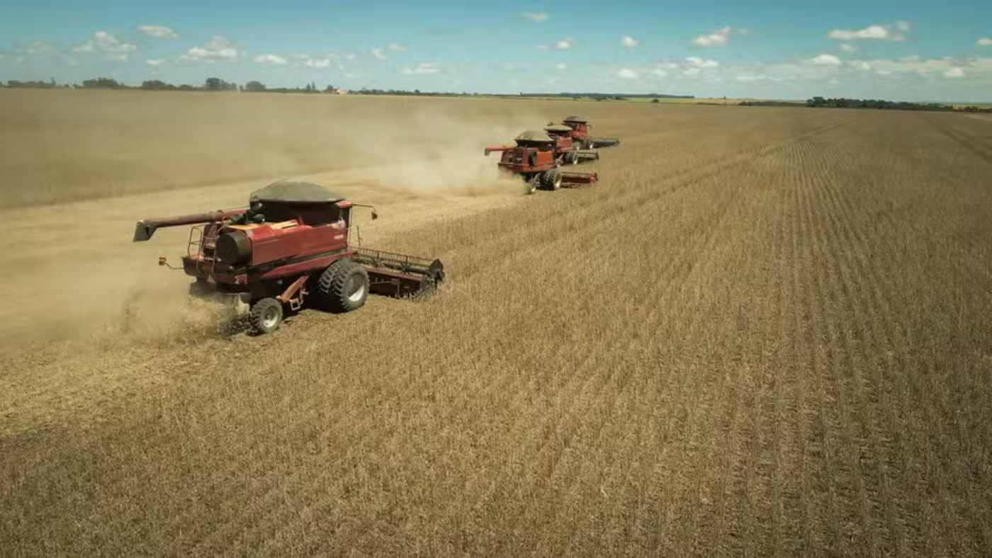 Brazil’s 2025 Grain Harvest Expected to Reach 311 Million Tons, Says IBGE