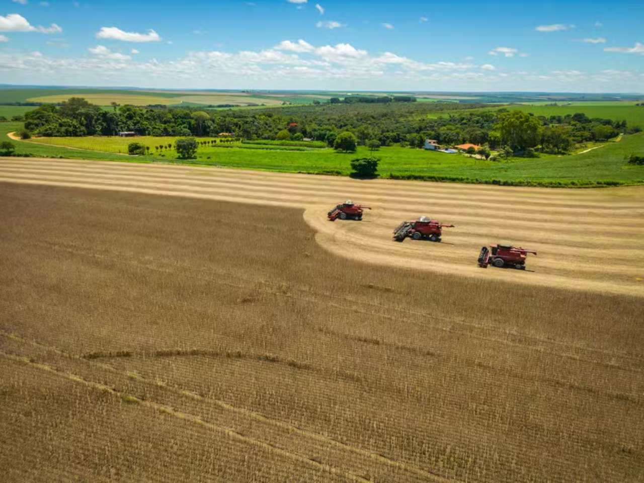 Agriculture Day: How the Industry Transformed Brazil into a Major Global Exporter