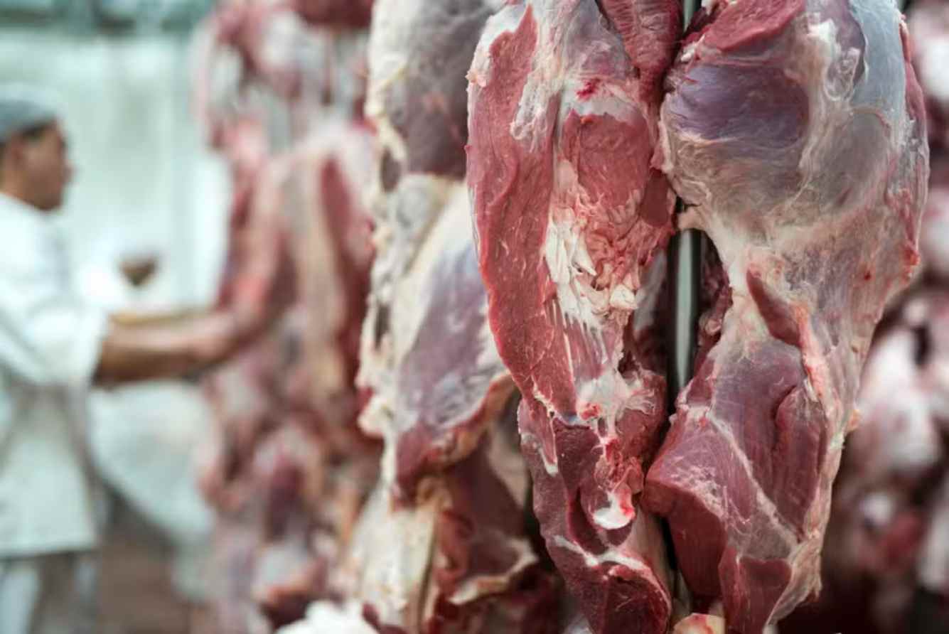 Meat Industry Prepares Project to Comply with EU Anti-Deforestation Law