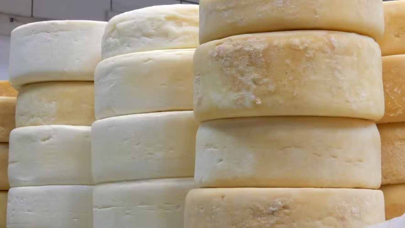 Brazilian Cheeses Among the World’s Top 100; Discover Which Ones Made the List