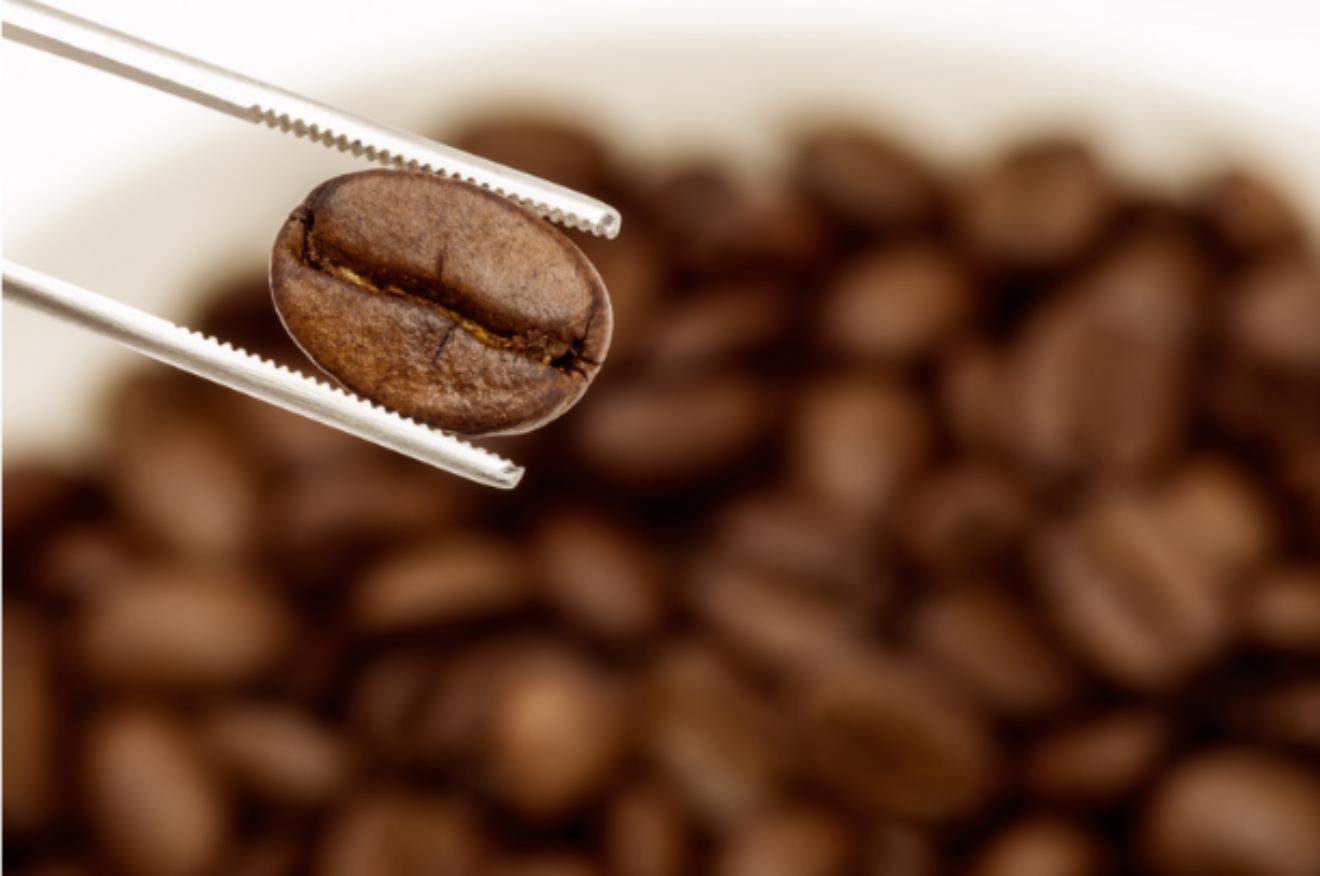 Brazil’s Coffee Exports Reach 4.5 Million Bags, Generating $1.19 Billion in September 2024