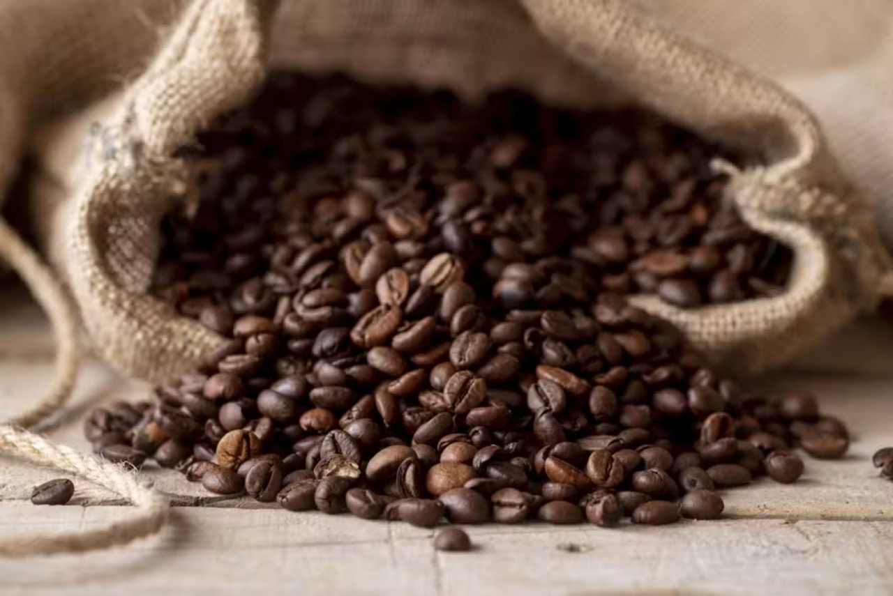 Cooabriel Exports Conilon Coffee to India for the First Time