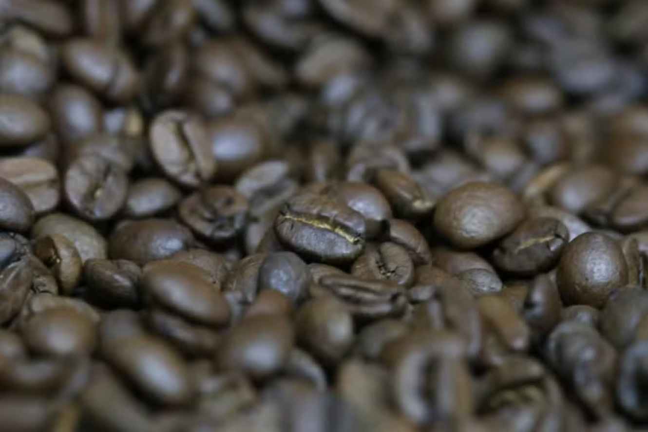 Brazil Coffee Price – Average monthly prices for October of 2024