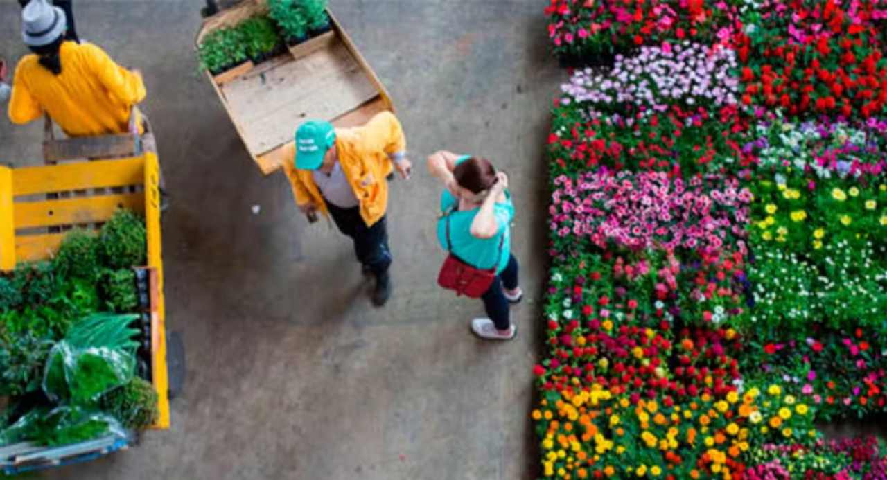 Day of the Faithful Deceased Holiday Expected to Boost Flower Market