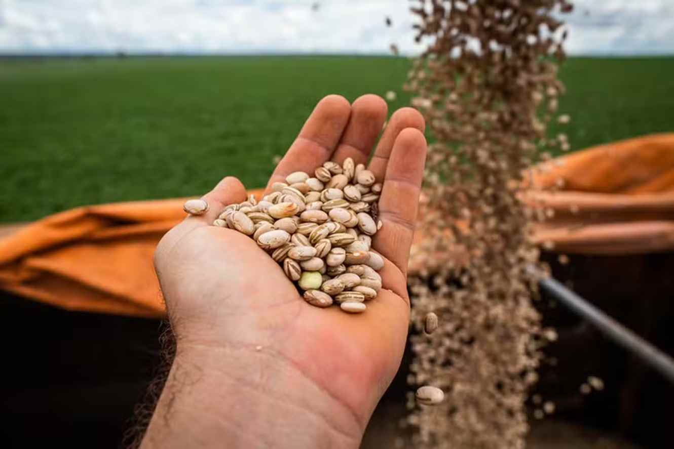 Brazil’s Grain Production Expected to Grow 27% in 10 Years