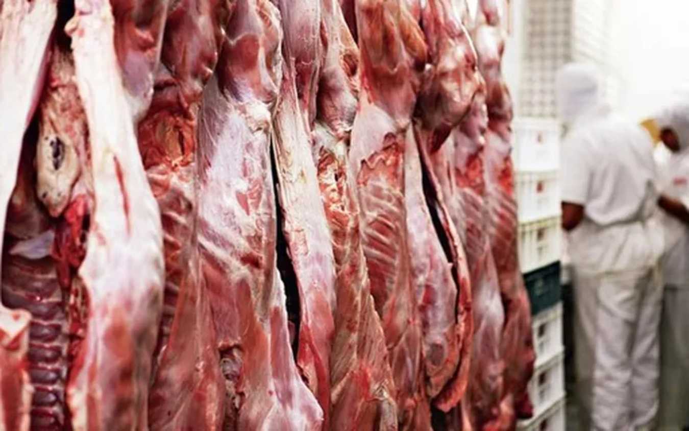 Morocco Exempts Brazilian Beef and Sheep Meat Imports from Taxes