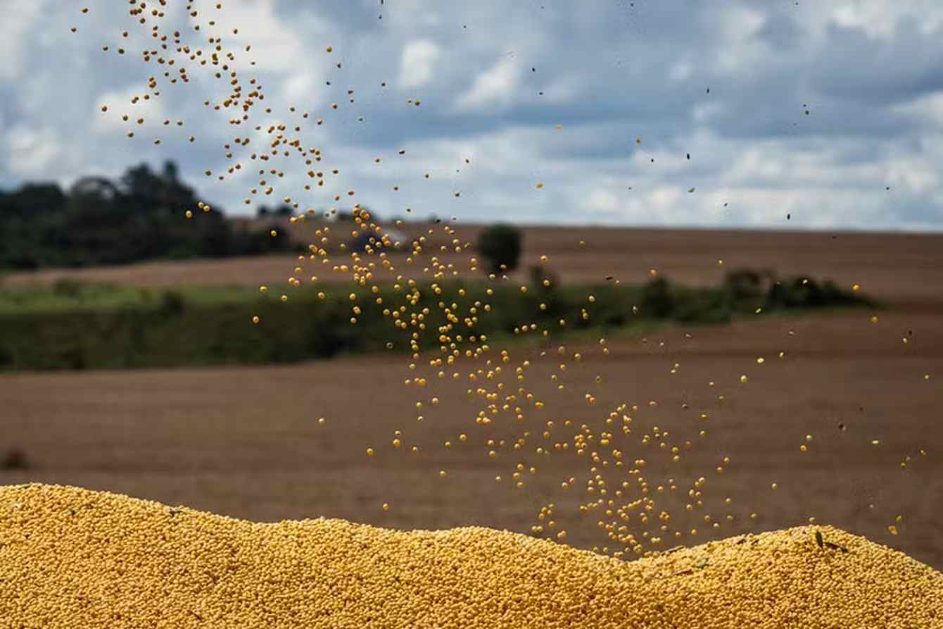 Soybean Prices Rise as Demand Takes Market Focus