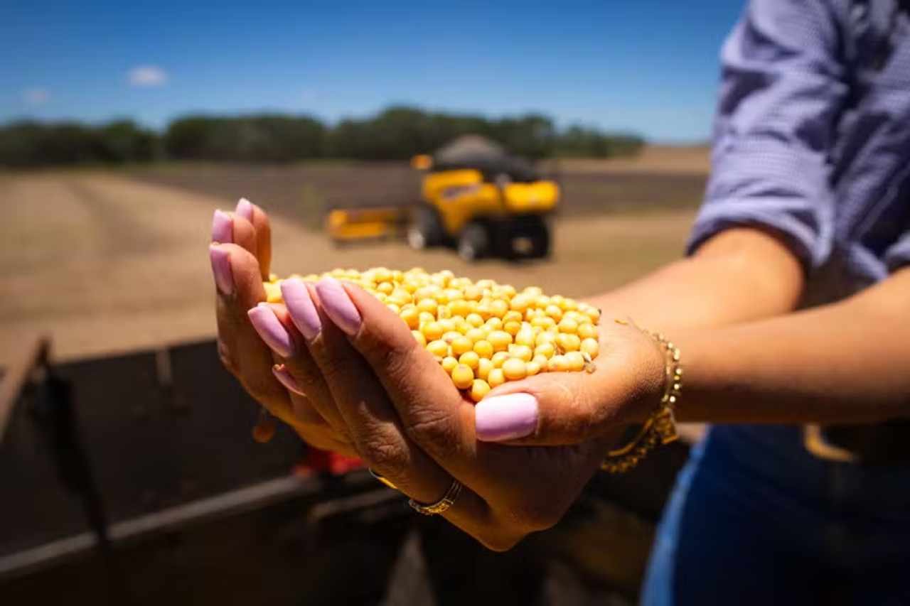 Soybean Prices Remain High in Brazil