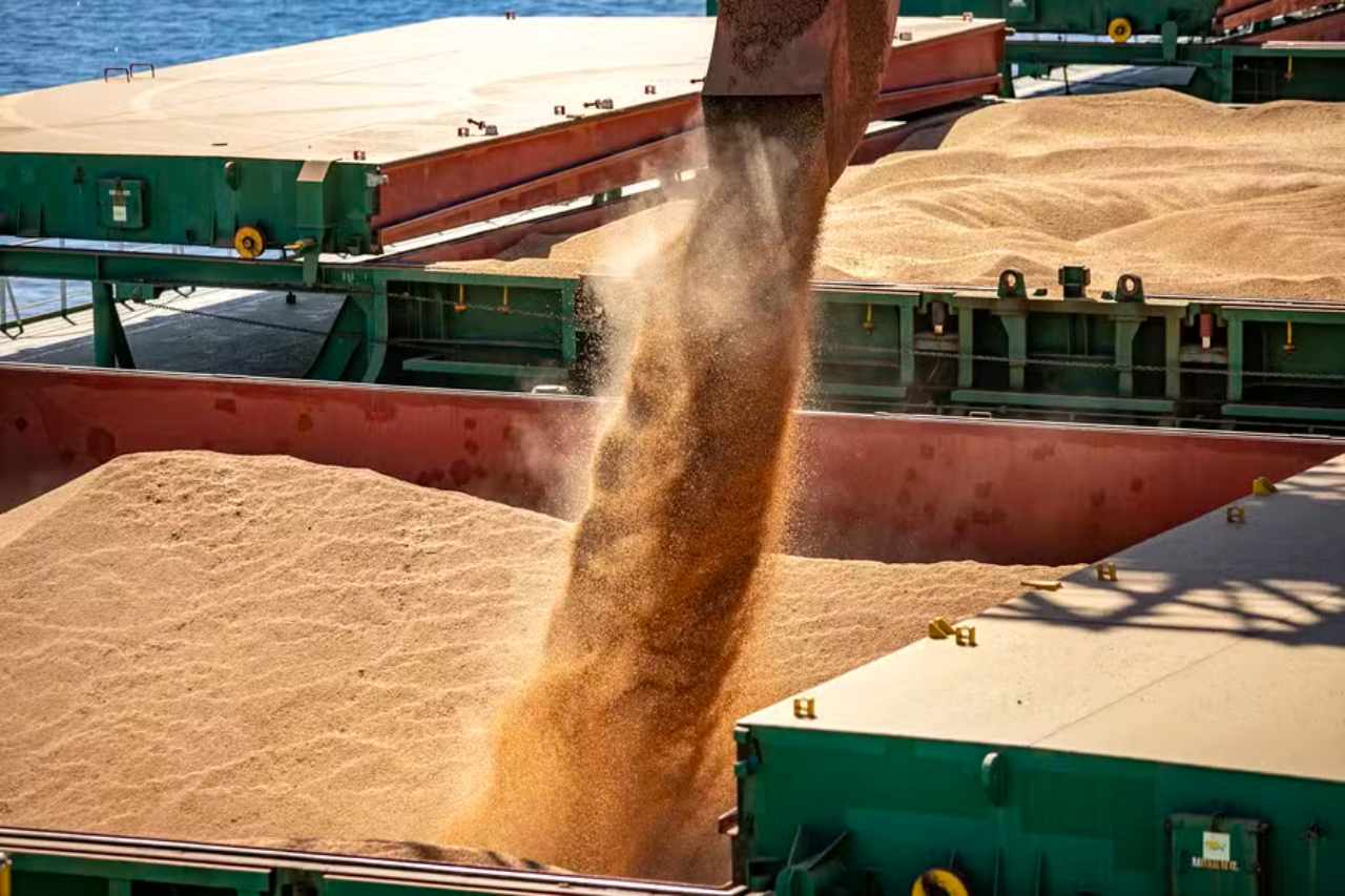 Soybean Prices Begin the Week on a High in Brazil