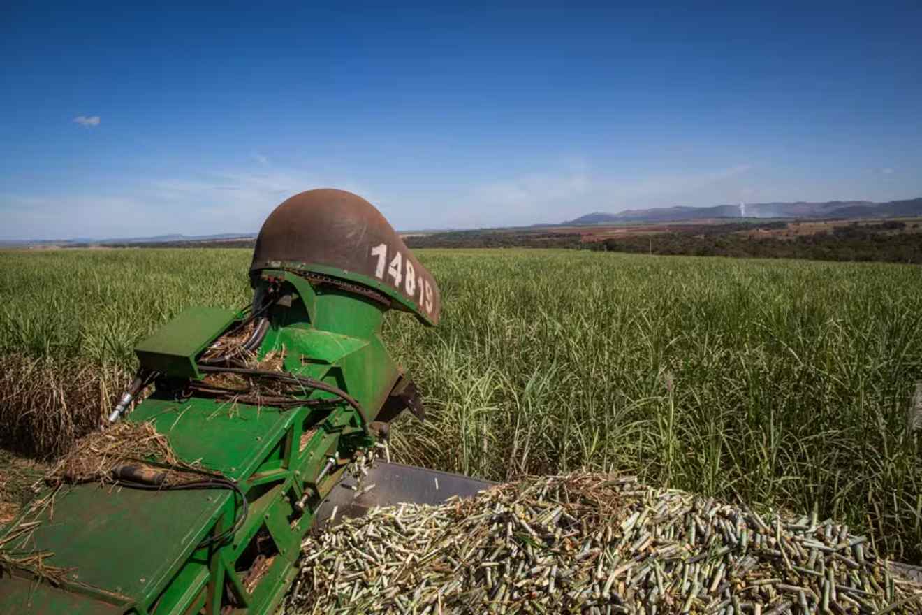 Sugarcane Crushing in South-Central Brazil Increases 2.7% in Early October