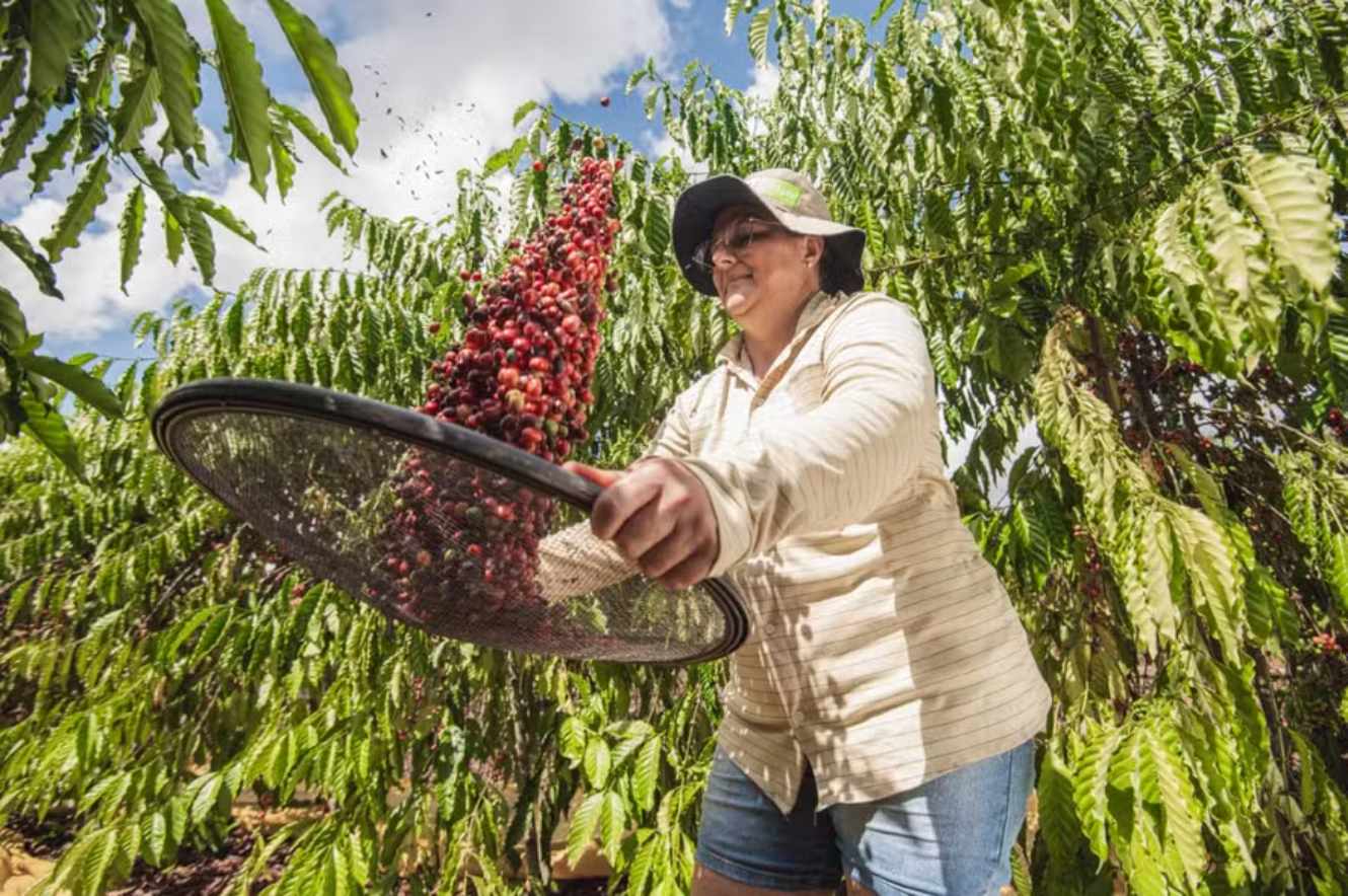 Amazonian Women’s Coffee Selected as Finalists in Quality Competition