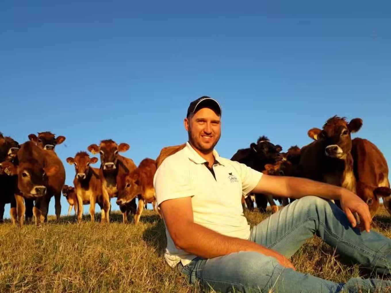 Is it Possible to Produce Milk and Meat from the Same Herd? Paraná Producers Prove It Is