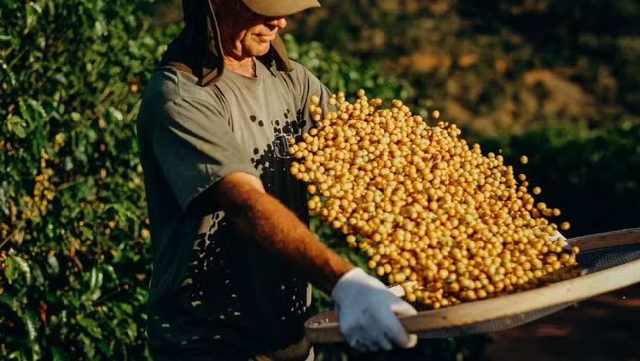 Nespresso Invests R$ 5 Million in Regenerative Coffee Farming