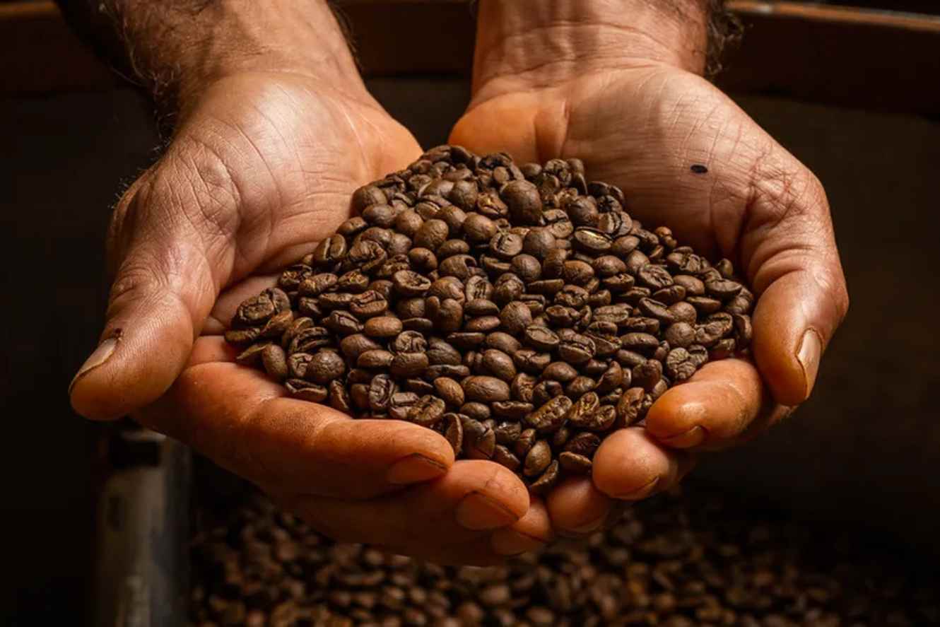 Coffee Rises in New York, While Sugar Declines in Response to Oil Prices