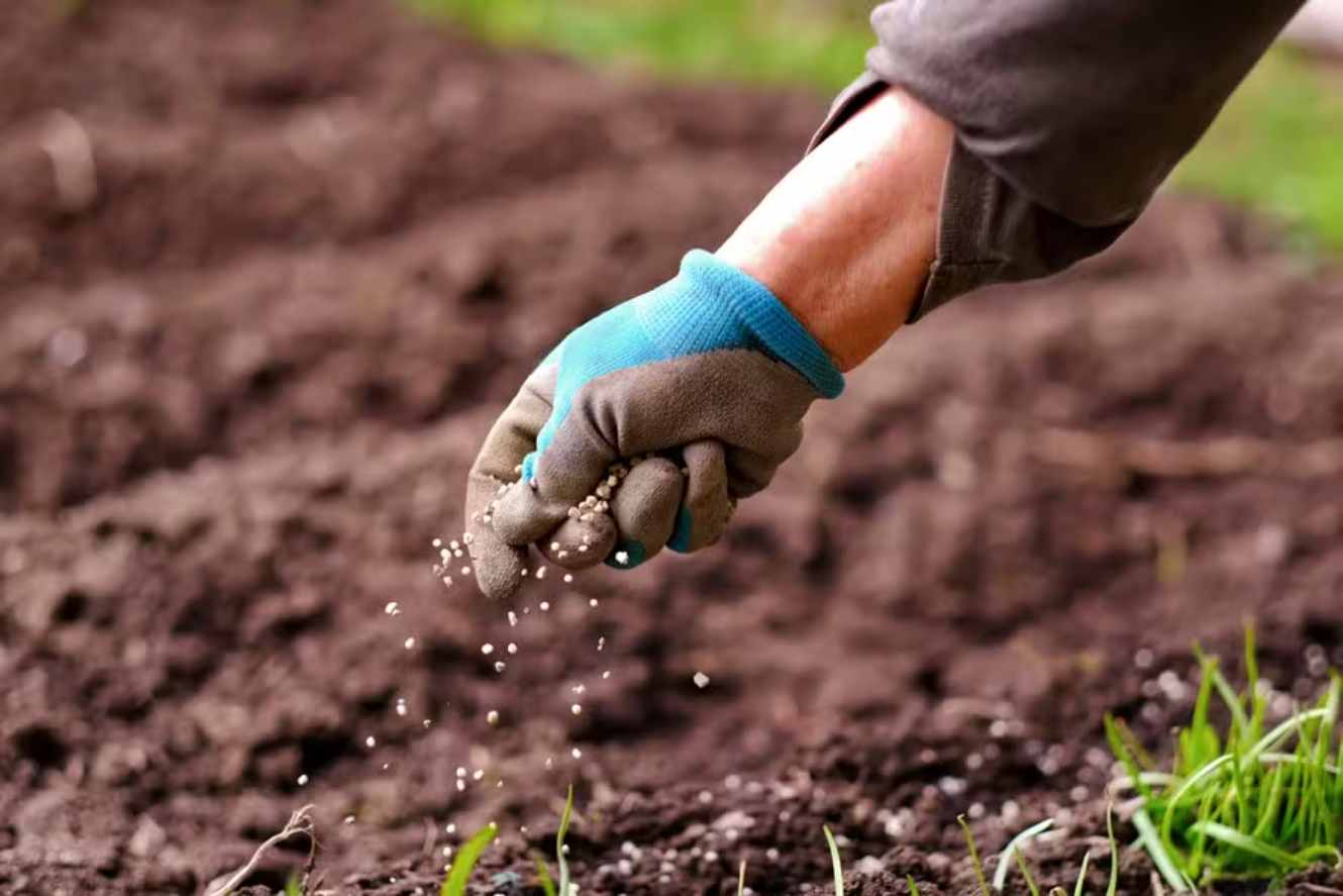 Brazil’s Fertilizer Market Expected to Close 2024 on a Positive Note, Says Sindiadubos