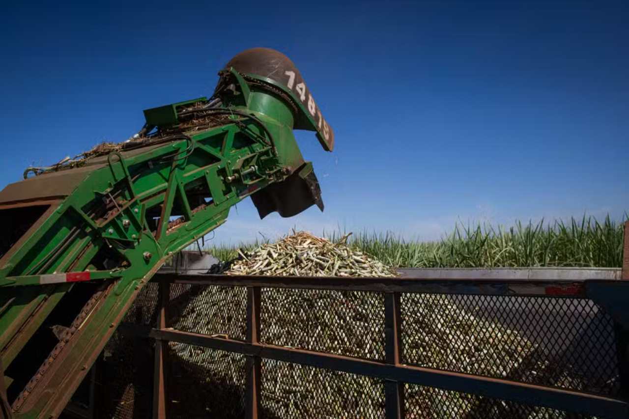 Sugar and Ethanol Prices Continue to Rise in the São Paulo Market