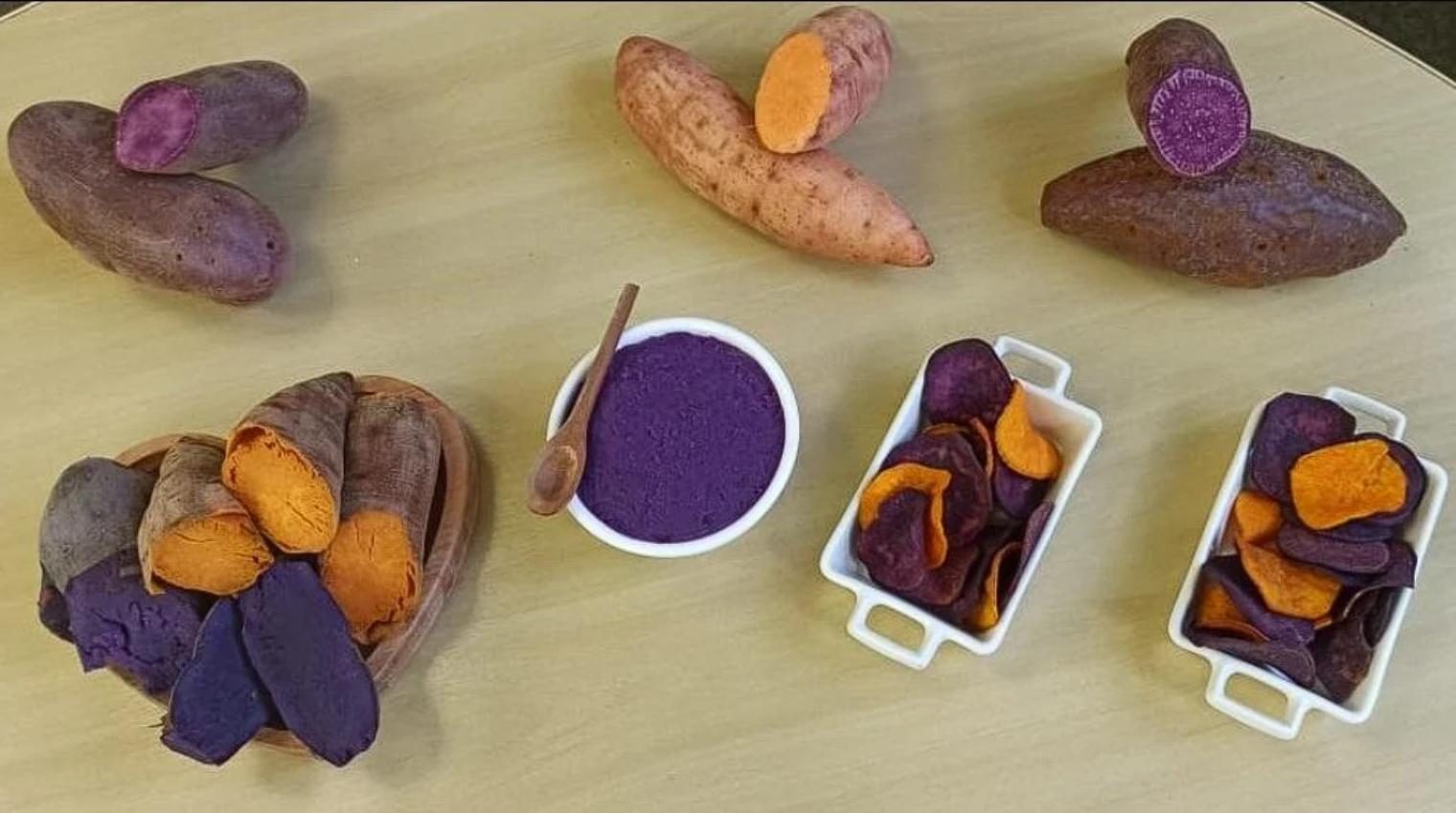 Sweet Potato: Discover the Differences in Colors and Flavors of This Root Vegetable